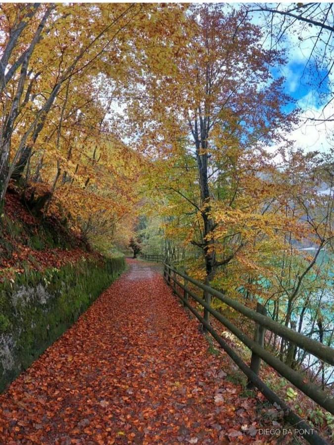 Апартаменти Colori Nel Parco Cesiomaggiore Екстер'єр фото